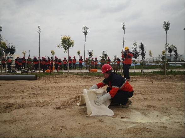 202408051722839910840487.png 202408051722839887416953.png